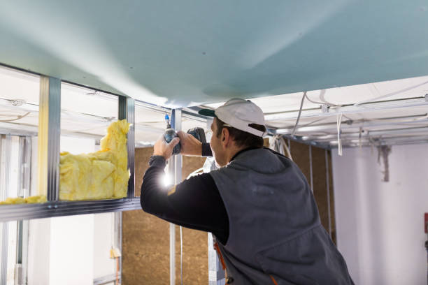 Best Eco-Friendly Insulation in Greendale, WI