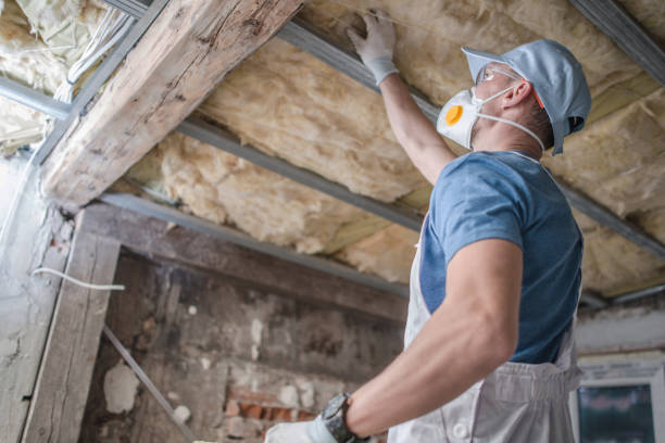 Best Insulation Maintenance and Repair in Greendale, WI